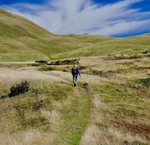 Hiking and Nature Interpretation
