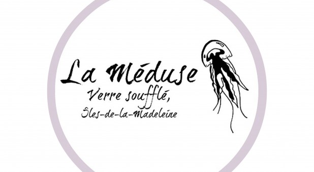 logo Meduse