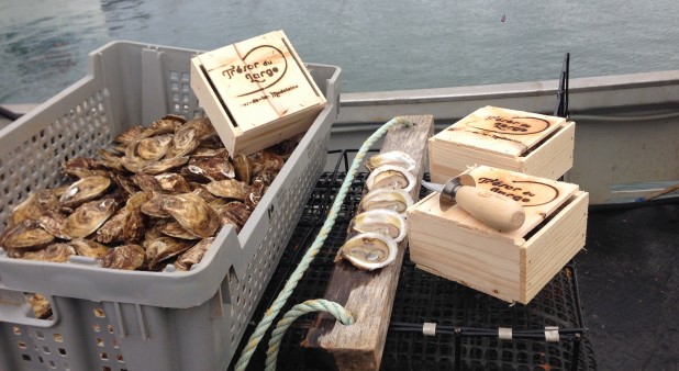Oysters Trésor du Large