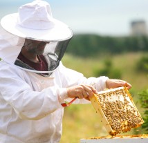 Honey producers