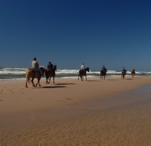 Horseback Riding