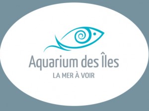 Lancement du site web de l'Aquarium des...