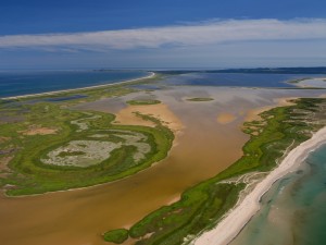 Nouvelle vidéo pour mousser les...