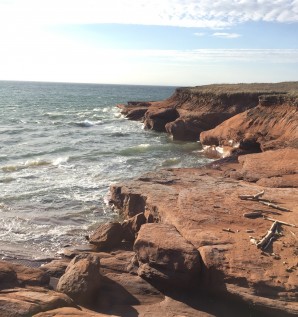 My Beach Office: Being a Freelancer in Les...