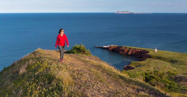 The Unveiling of a new Hiking Trail and...