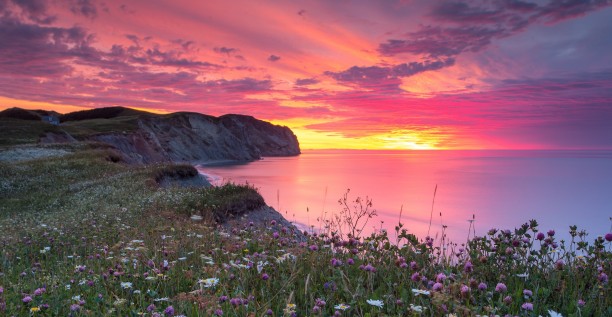 Pink sunrise won over the visitor's heart!