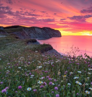 Le lever de soleil rose conquit le coeur de...