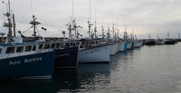 Seasons in the Life of a Boat