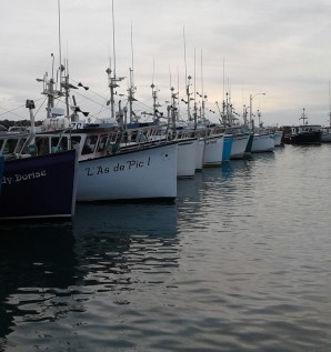 Les saisons d'un bateau