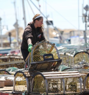 La 146e Mise à l'eau des cages sous le...