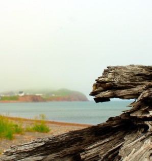 Îles de lumière