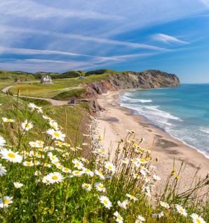 À l'Amante du Golfe