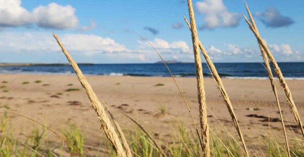 Soutenir les dunes qui nous soutiennent