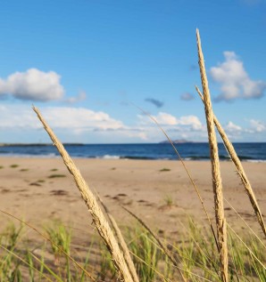 Standing with the Dunes That Stand for Us