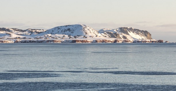 Embracing insularity