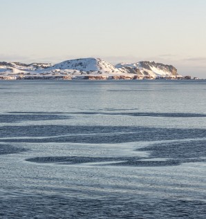 Embrasser l'insularité
