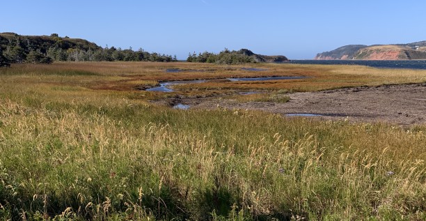 Milieux humides des Îles de la Madeleine:...