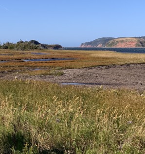 Wetlands of the Magdalen Islands: an...