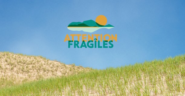 Attention FragÎles structure une offre de...