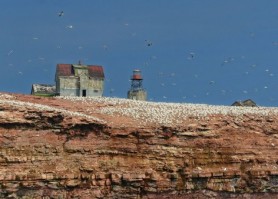 Phare du Rocher aux Oiseaux