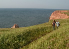 Réserve écologique de l'Île Brion