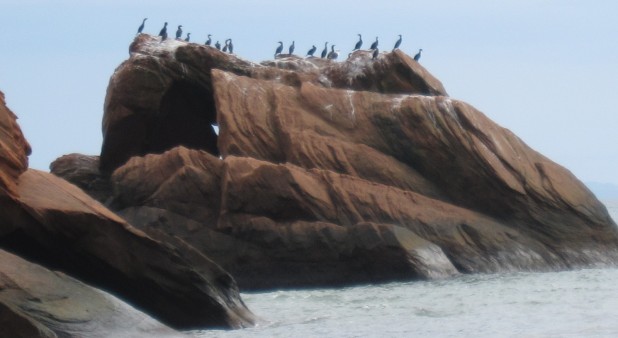 Iles de la Madeleine - Maison chalet à louer - Le Îles des Vents