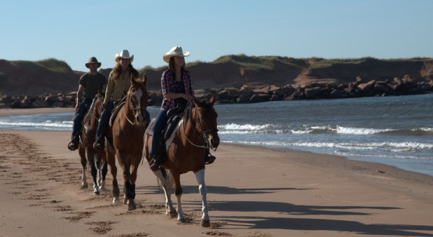 Ïles de la Madeleine - Équitation - Centre équestre La Crinière au vent