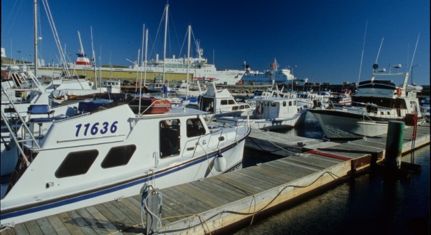 Iles de la Madeleine-Marina-Cap-aux-Meules