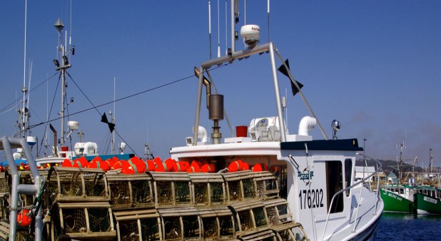 A lobster boat on his departure