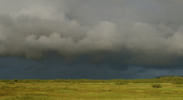 Étang de l'Ouest