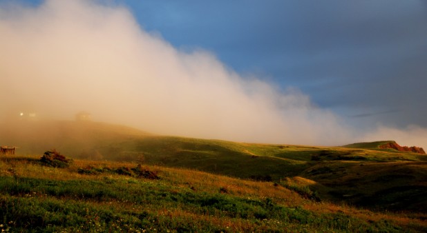 Foggy evening