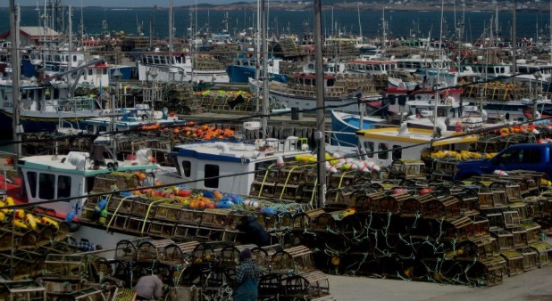 port de pêche de Grande-Entrée--Plus de 110 homardiers