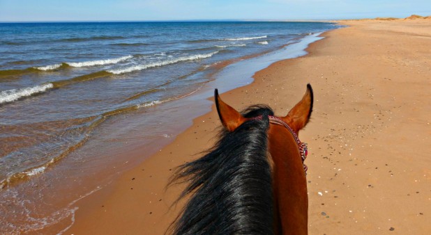 randonnée sur la plage