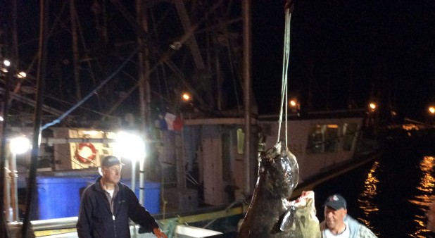 la pointe basse une pêche miraculeuse