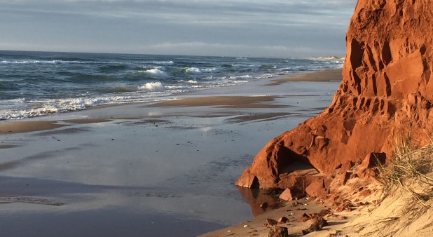 Plage et falaise