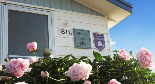 Chalet du Cap en fleurs