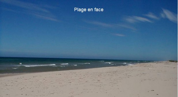 Beach 150 feet at frond
