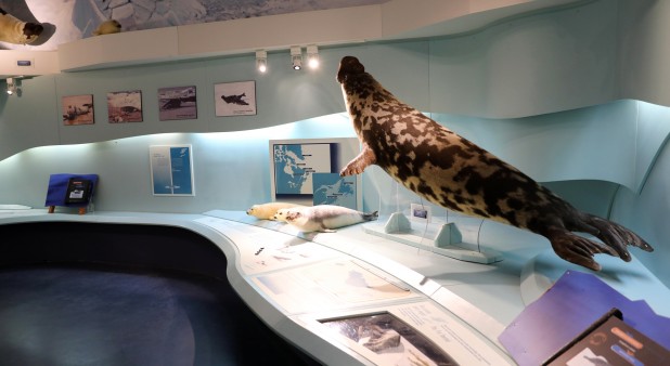 Seal Interpretation Center