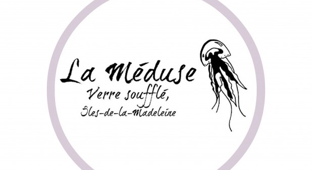 Logo Meduse