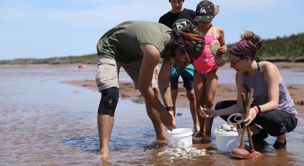 Pêche aux coques