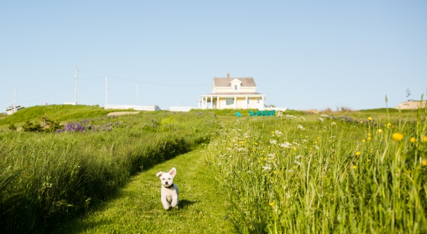 Chemin menant à la plage