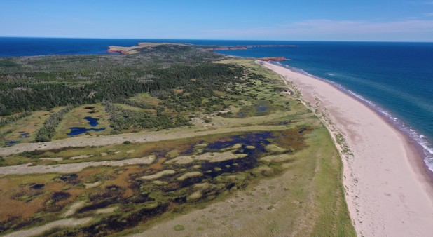 Attention Fragîles
