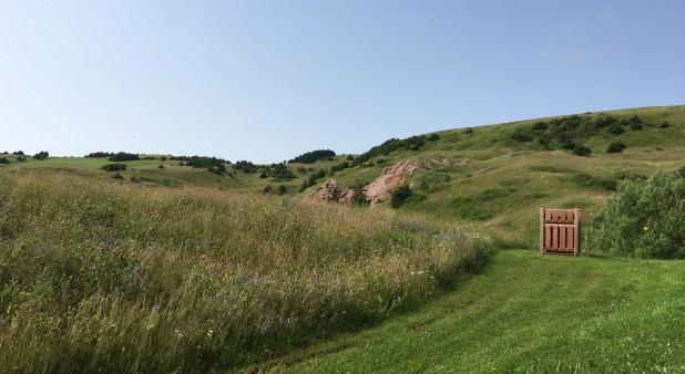 Vue de la cour arrière de la Maison du Cap