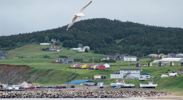 warf view of Navigateur Millerand