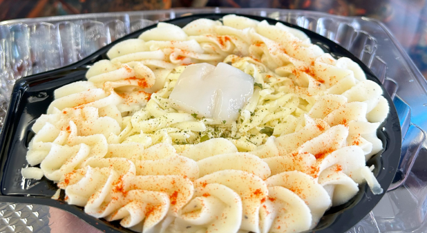 SCALLOP SHELL