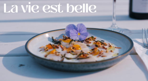 Crudo de pétoncle