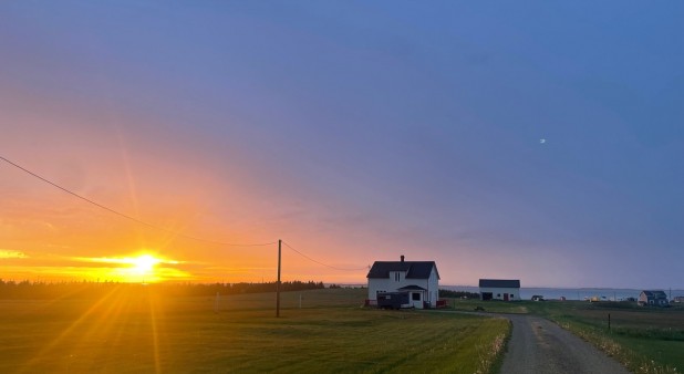 Chez Octave a Alfred