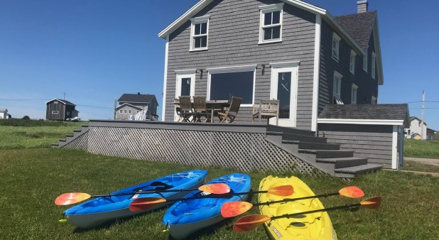 Kayaks on the site
