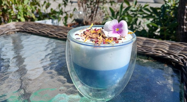 Matcha Framboise bleue