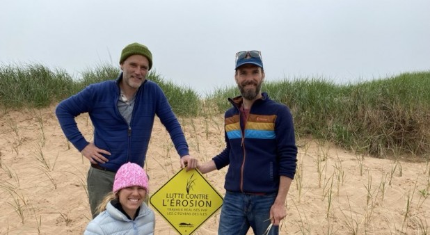Plantation de foin de dune régénérative